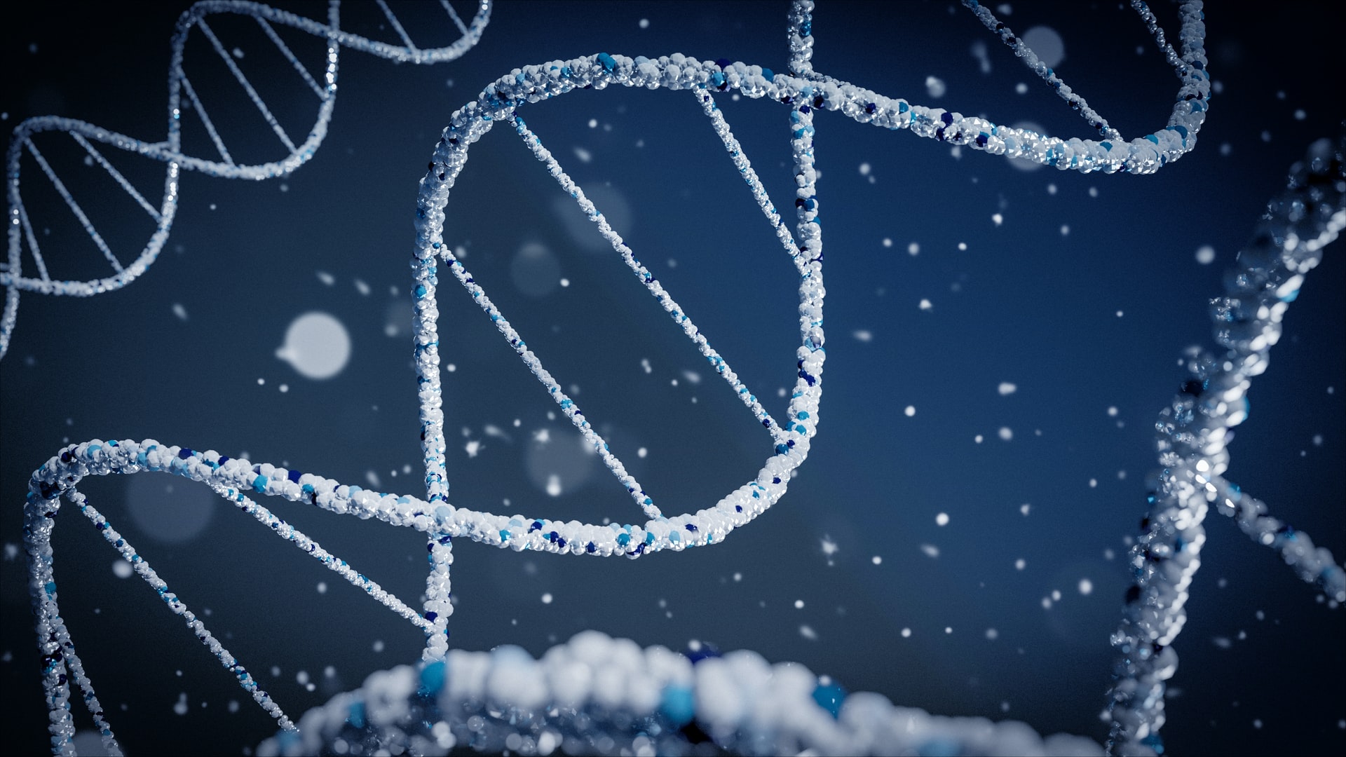 FAQ’s About Getting a Genetic Test